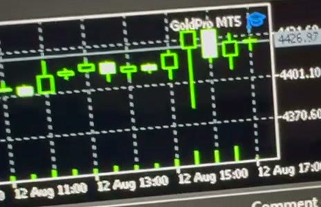 GoldPro MetaTrader chart — 6–12 August 2026 video update