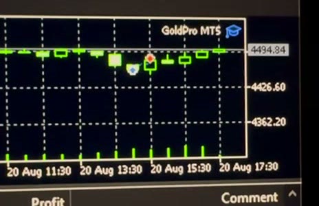 GoldPro MetaTrader chart — 14–20 August 2026 video update